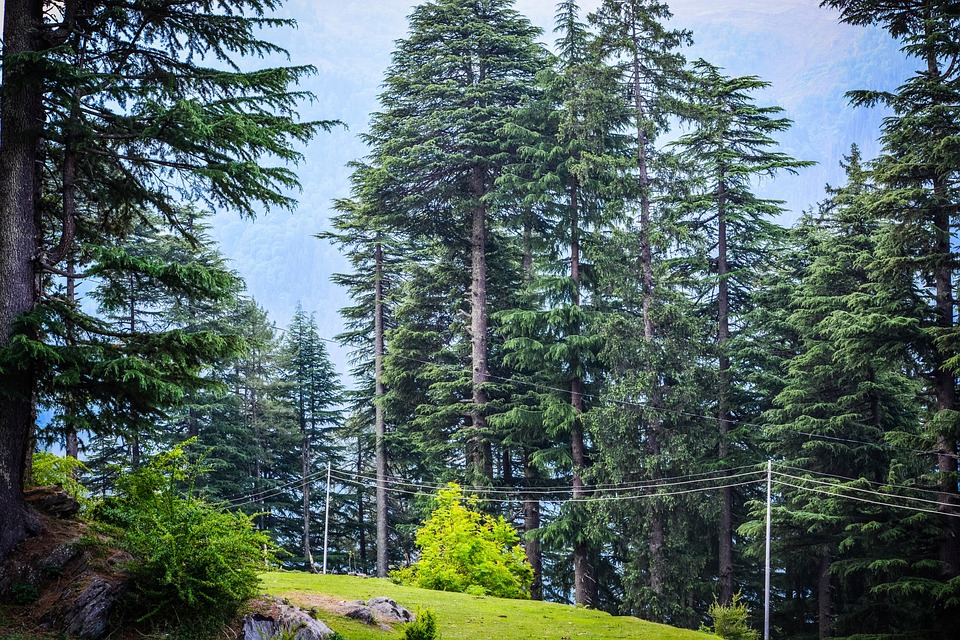 The Best Seasons of Manali: A Fan’s Guide